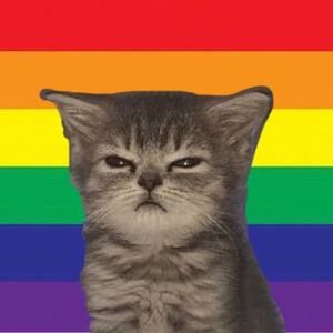 Meet your Posher, Kimmy